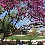 Image of Bridgewater Retirement Community (2)