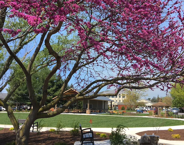 Image of Bridgewater Retirement Community (2)