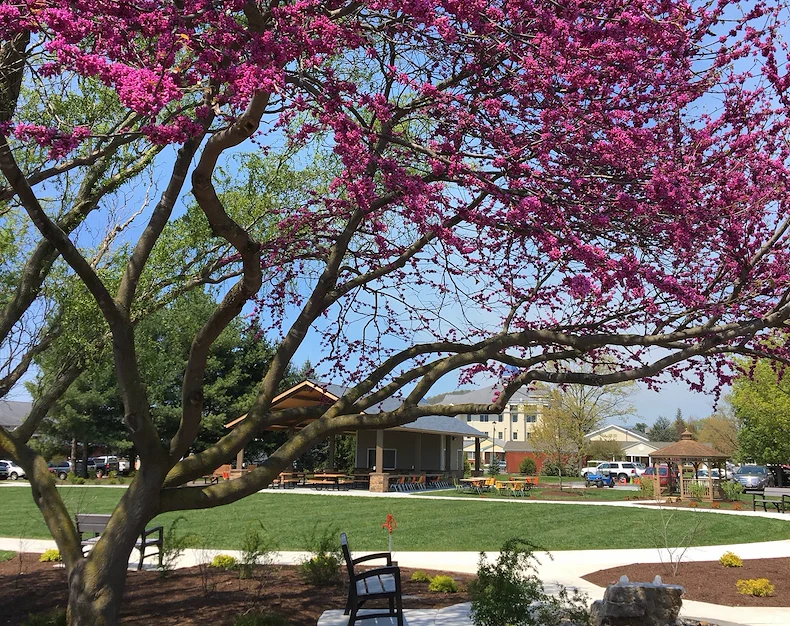 Image of Bridgewater Retirement Community (2)