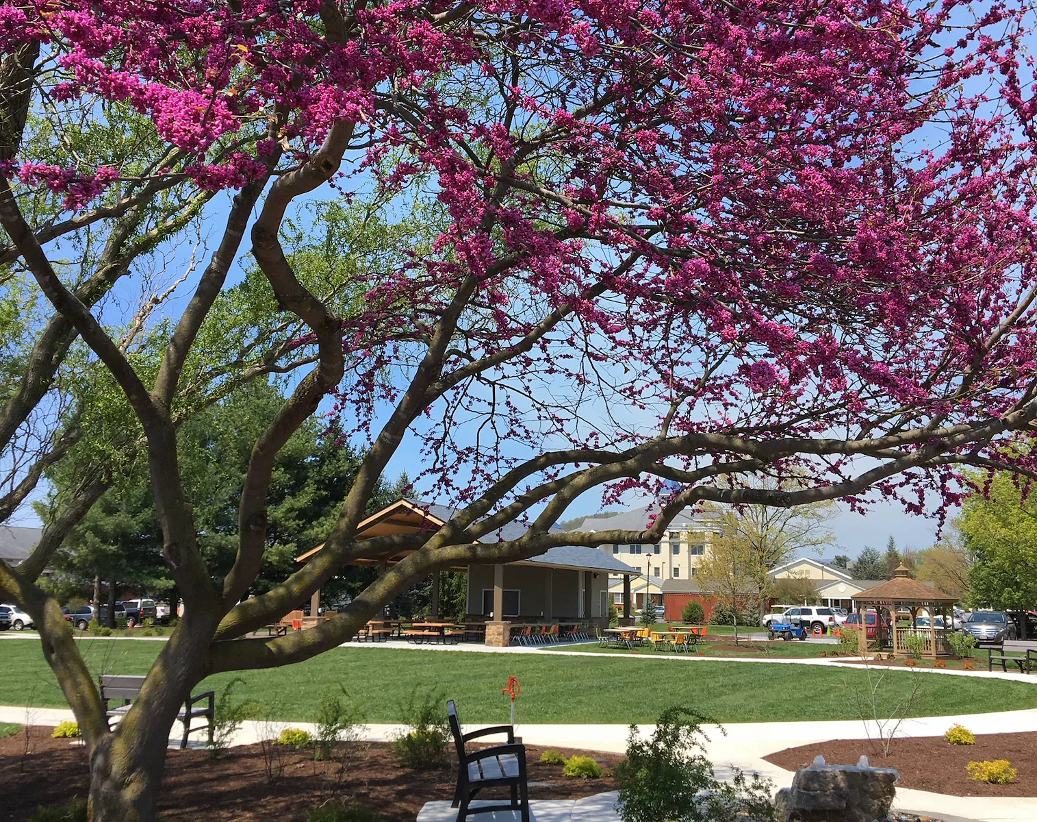 Image of Bridgewater Retirement Community (2)