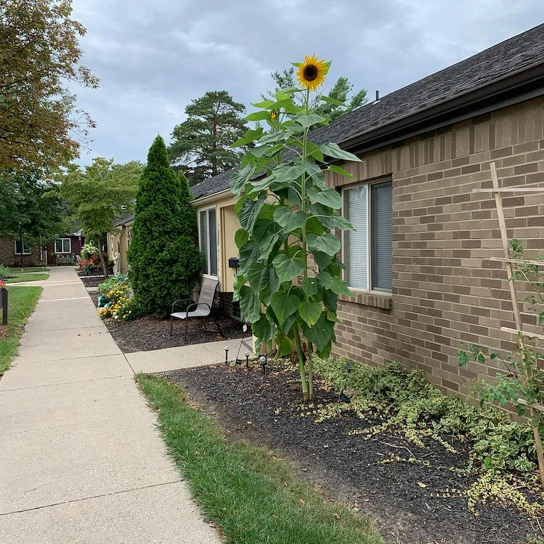 Image of The Village on Main (1)