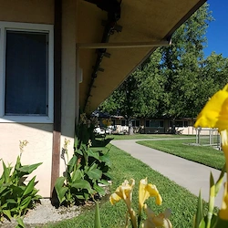 Image of Golden San Andreas Care Center (3)