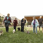 Image of Avocet Playa Vista (3)