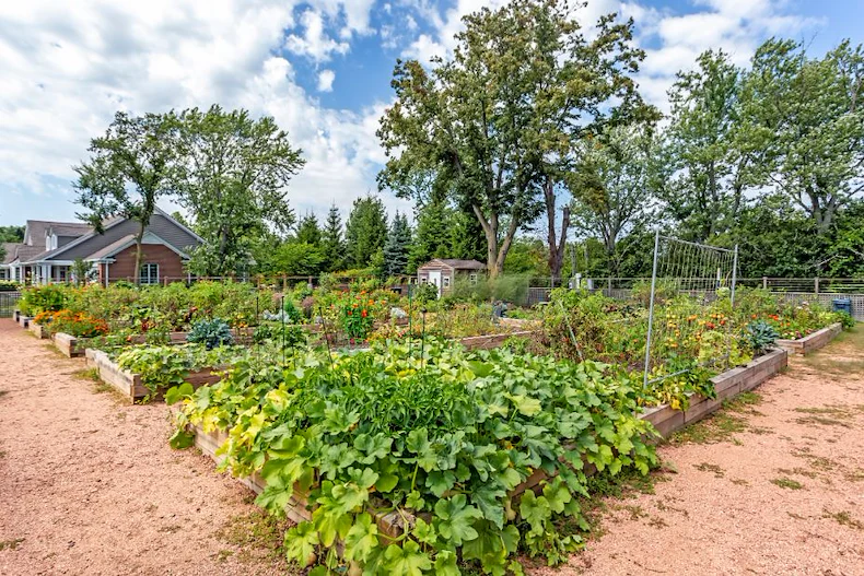 Image of Balmoral Care Center at Lake Forest Place (2)