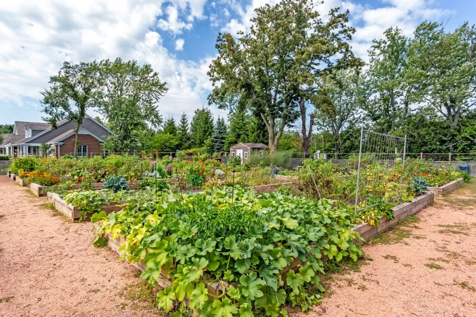 Image of Balmoral Care Center at Lake Forest Place (2)