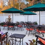 Image of Windrose at Weymouth (3)