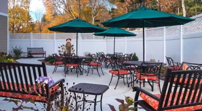 Image of Windrose at Weymouth (3)