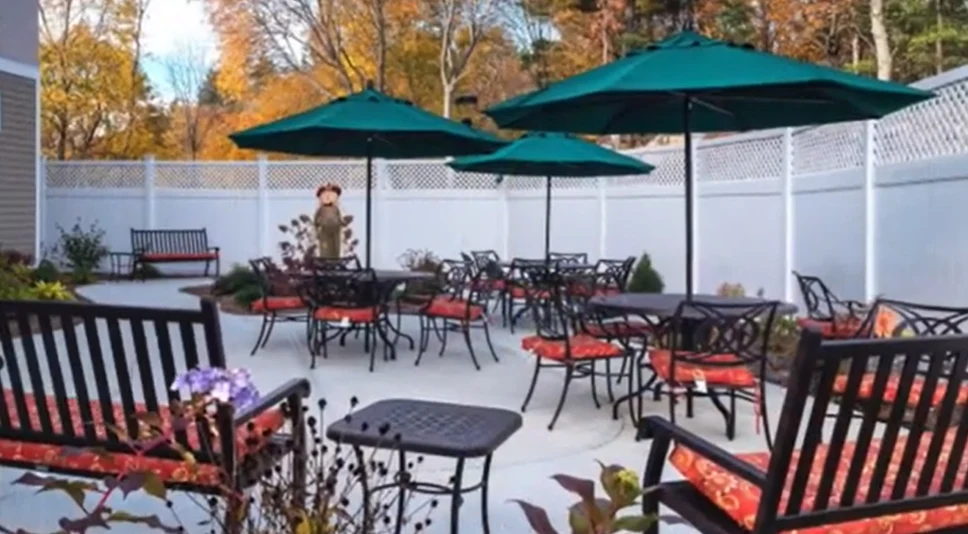 Image of Windrose at Weymouth (3)