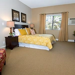 Image of Savant of Tarzana (3)