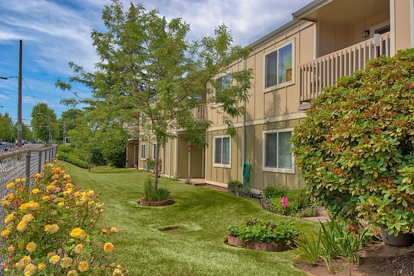 Image of Golden Elm (1)