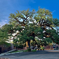 Image of Allen Health & Rehabilitation (2)