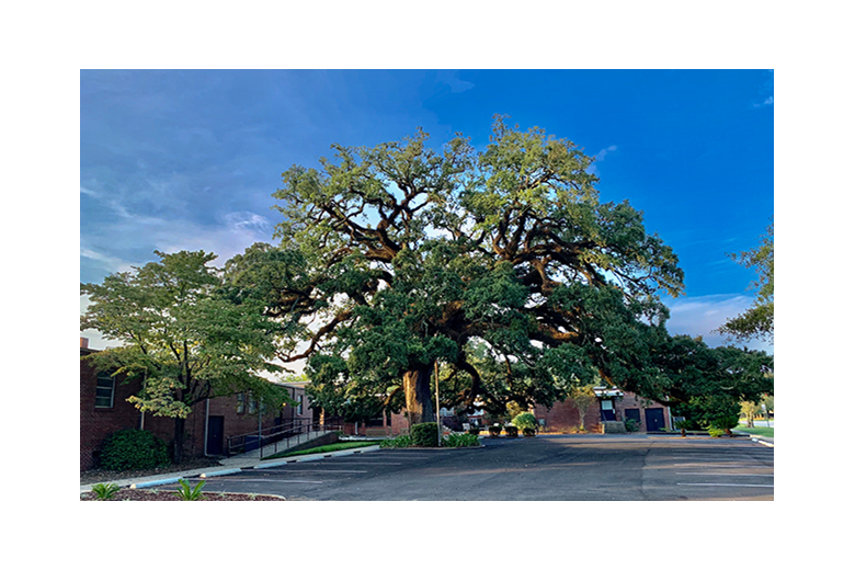 Image of Allen Health & Rehabilitation (2)