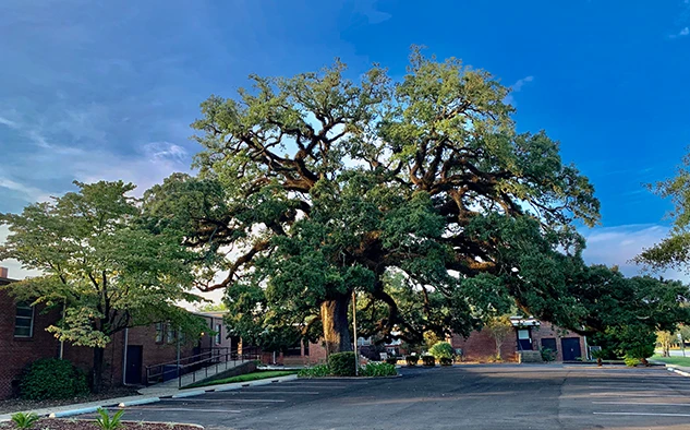 Image of Allen Health & Rehabilitation (2)