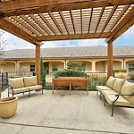 Image of Volante of Grapevine (9)