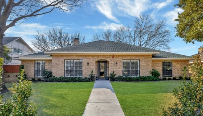 Image of Silver Leaf Richardson on Blue Cypress (1)