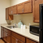 Image of Silver Birch of Muncie (8)