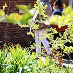 Image of Accura Healthcare Of Pleasantville, LLC (3)