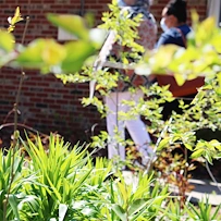 Image of Accura Healthcare Of Pleasantville, LLC (3)