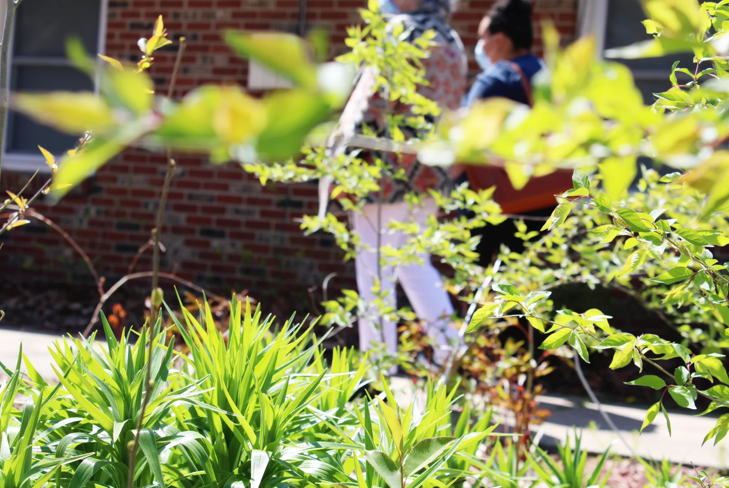 Image of Accura Healthcare Of Pleasantville, LLC (3)