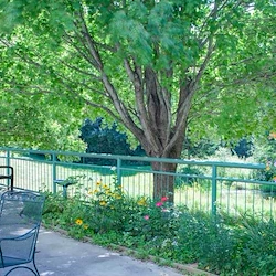 Image of Springbrook Center (3)