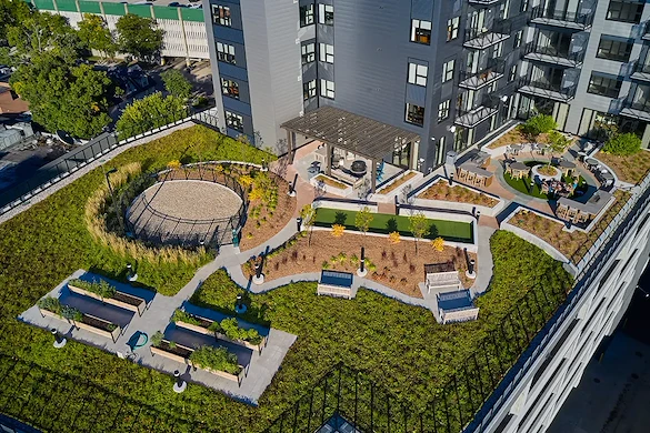 Image of Newman Lofts (6)