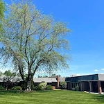 Image of Majestic Care Of Flushing (1)