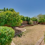 Image of Alder Leaf at Summit Shadows (9)