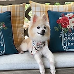 Image of Solstice Senior Living at Corpus Christi (10)