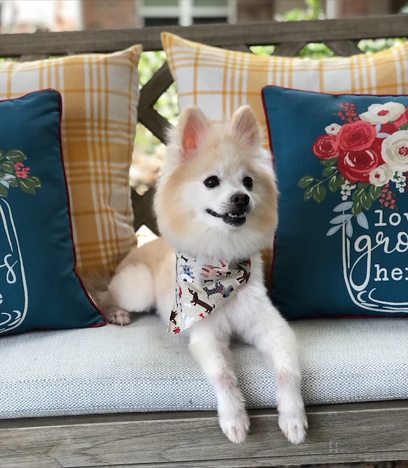 Image of Solstice Senior Living at Corpus Christi (10)