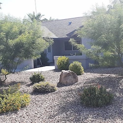 Image of Hummingbird Haven (2)