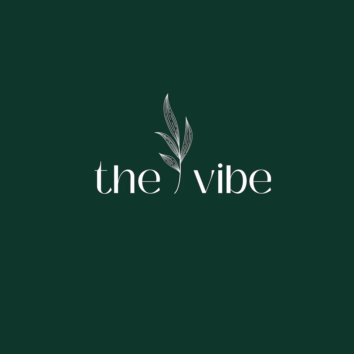 Image of The Vibe (1)
