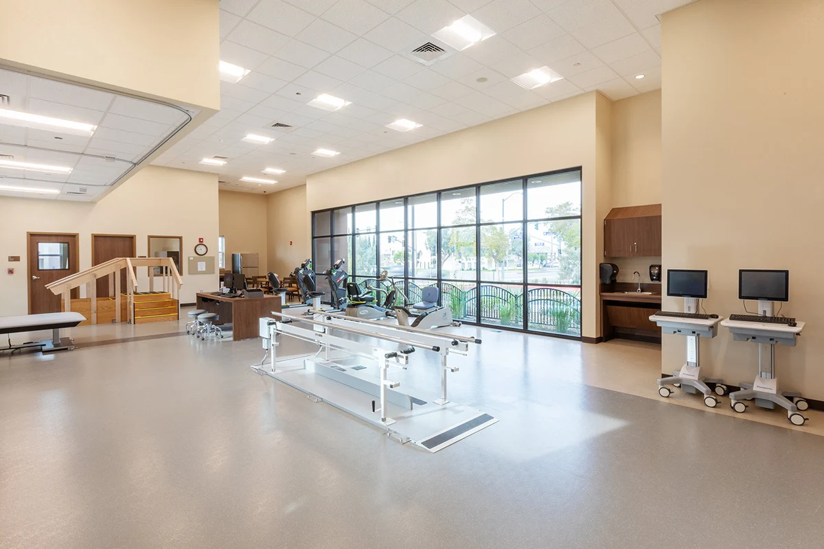 Image of Trellis Chino (4)