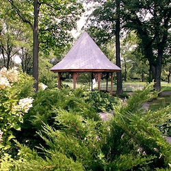 Image of Alden Long Grove Rehab &Hc Ctr (2)