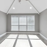 Image of Silver Leaf Allen (9)