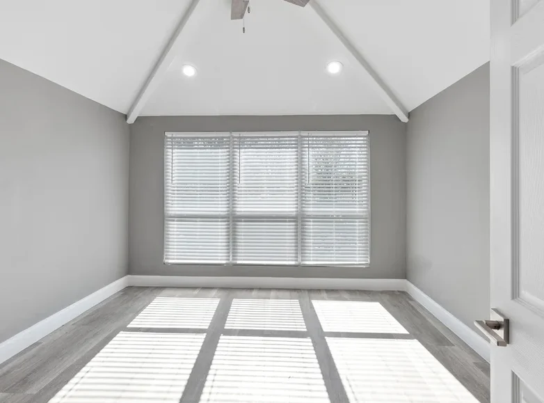 Image of Silver Leaf Allen (9)