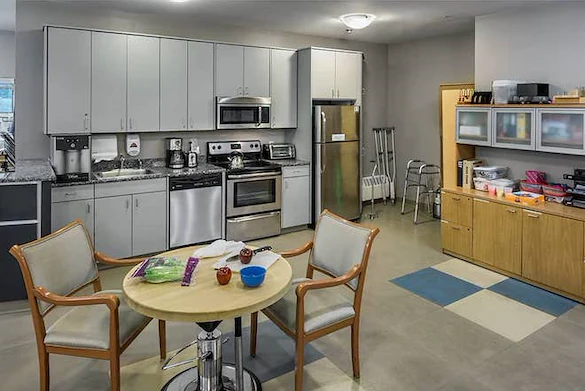 Image of Elderwood Of Scallop Shell At Wakefield (9)