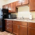 Image of Silver Birch of Mishawaka (8)