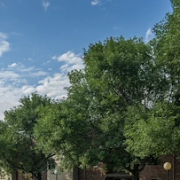 Image of Carriage House Senior Apartments (3)