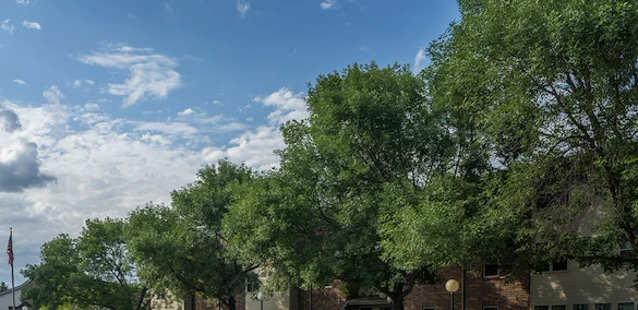 Image of Carriage House Senior Apartments (3)