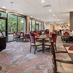 Image of Ivy Park at Hayward (6)