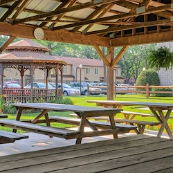 Image of Williamsport Elderly (3)