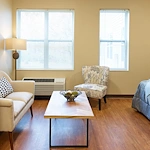 Image of Silver Birch of Muncie (7)