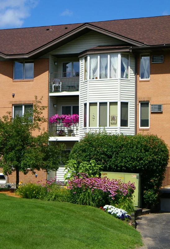 Image of WinterGreen (6)