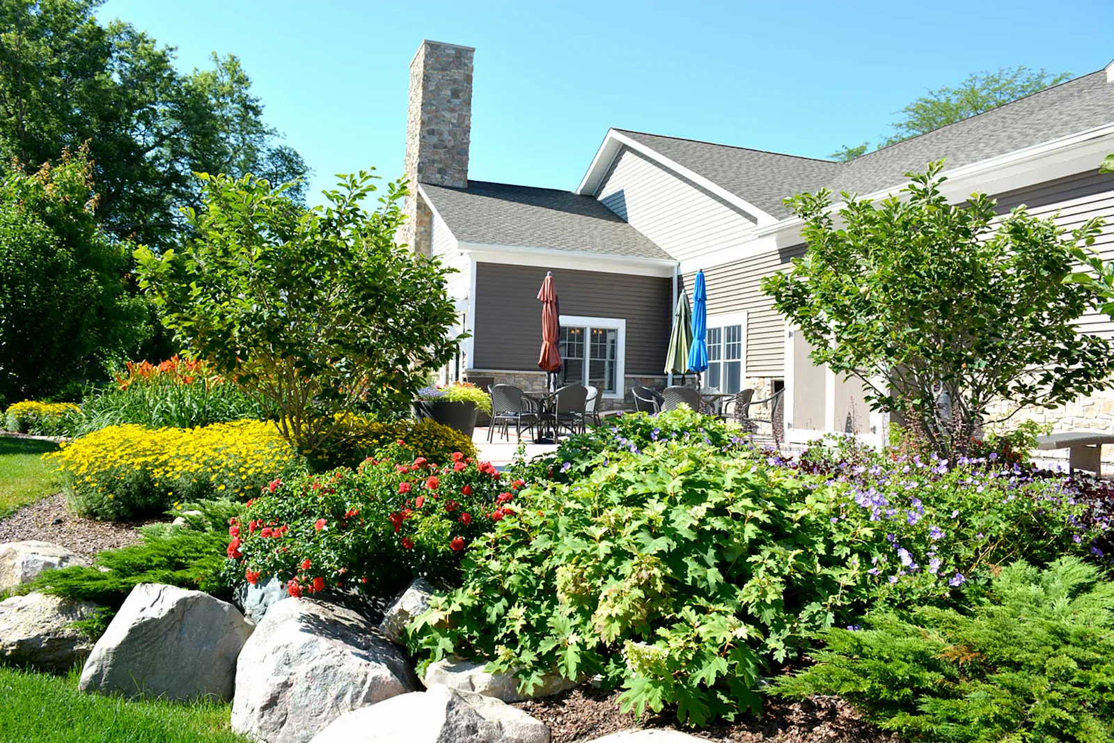 Image of The Cedars of Dexter (2)