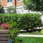 Image of Greek American Rehab Care Ctr (3)