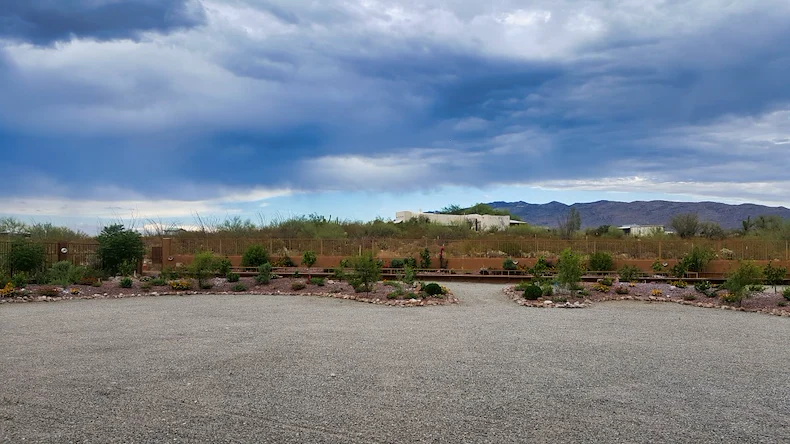 Image of Pepper Tree (4)