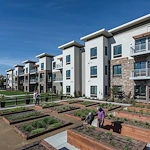 Image of Challigraphy at Napa Valley (8)