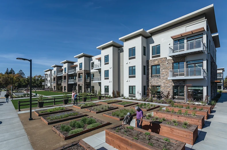 Image of Challigraphy at Napa Valley (8)