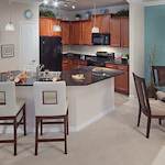 Image of Arietta Sarasota (6)