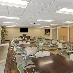 Image of Silvertree Tampa (3)